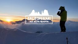 Falegnami ad Alta Quota