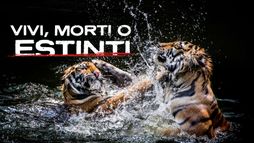 Vivi, morti, o estinti