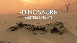 Misteri svelati