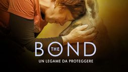 The Bond - Un legame da proteggere