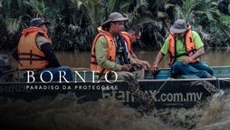 Borneo: paradiso da proteggere
