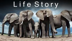 Storie di vita