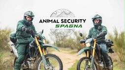 Animal Security: Spagna