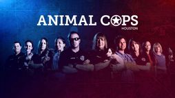 Animal Cops Houston