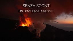 Senza sconti - Fin dove la vita resiste
