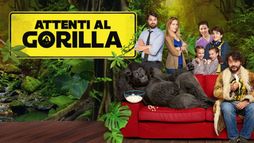 Attenti al gorilla