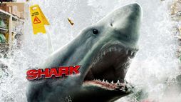 Shark