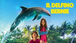 Bernie il delfino
