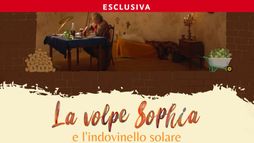 La volpe Sophia e l'indovinello solare