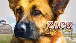 Zack - Cane eroe