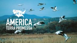 America: terra promessa