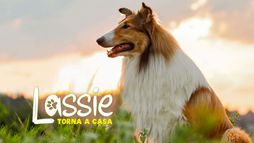 Lassie torna a casa