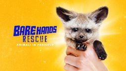 Bare Hands Rescue: animali in pericolo