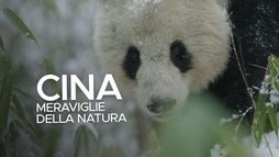 Cina - Meraviglie della natura