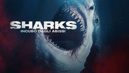 Sharks - Incubo dagli abissi