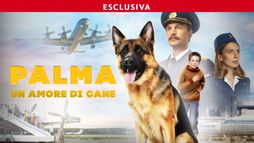 Palma - Un amore di cane