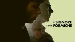 Il signore delle formiche