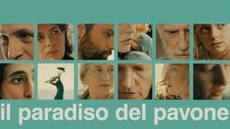 Il paradiso del pavone