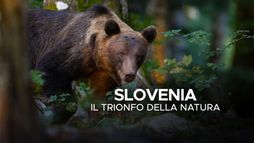 Slovenia - Il trionfo della natura