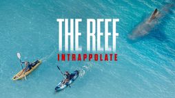 The Reef - Intrappolate