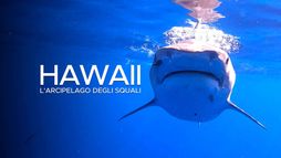 Hawaii - L'arcipelago degli squali