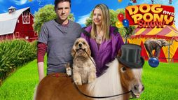 Dog and Pony Show