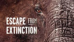 Escape from Extinction
