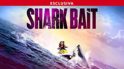 Shark Bait