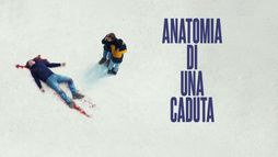 Anatomia di una caduta