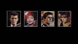 Absolute Beginners