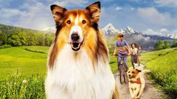 Lassie - Una nuova avventura