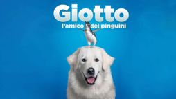 Giotto, l'amico dei pinguini
