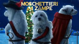 Moschettieri a 4 zampe