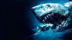 Shark Week