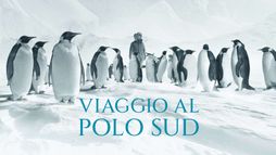Viaggio al Polo Sud