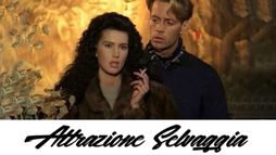 Attrazione selvaggia