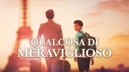 Qualcosa di meraviglioso
