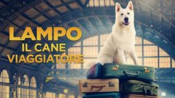 Lampo il cane viaggiatore