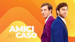 Amici per caso