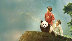 Moon il panda