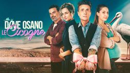 Dove osano le cicogne