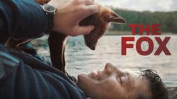 The Fox
