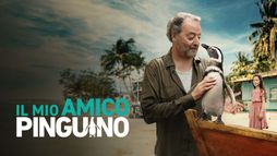 Il mio amico pinguino