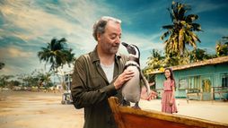 Il mio amico pinguino