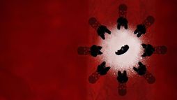 The Group - Confessioni mortali