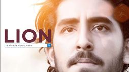 Lion la strada verso casa