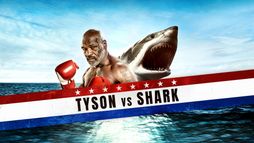 Tyson VS Shark