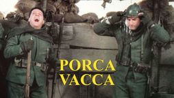 Porca vacca