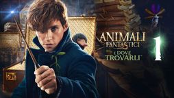 Animali fantastici e dove trovarli