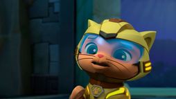 Paw Patrol Cat Pack